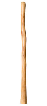 Medium Size Natural Finish Didgeridoo (TW1602)